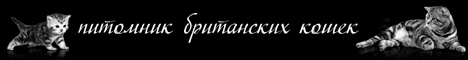 Dimarmo