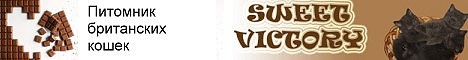 Sv-cats
