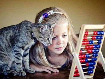 Девочка играет с котом