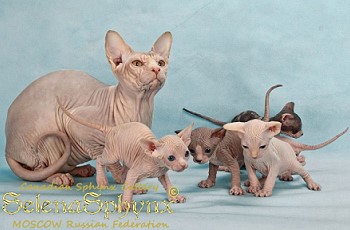 ������� � ������